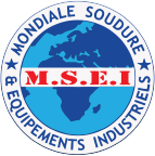 logo MSEI
